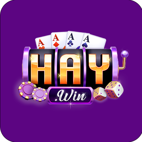 haywin logo