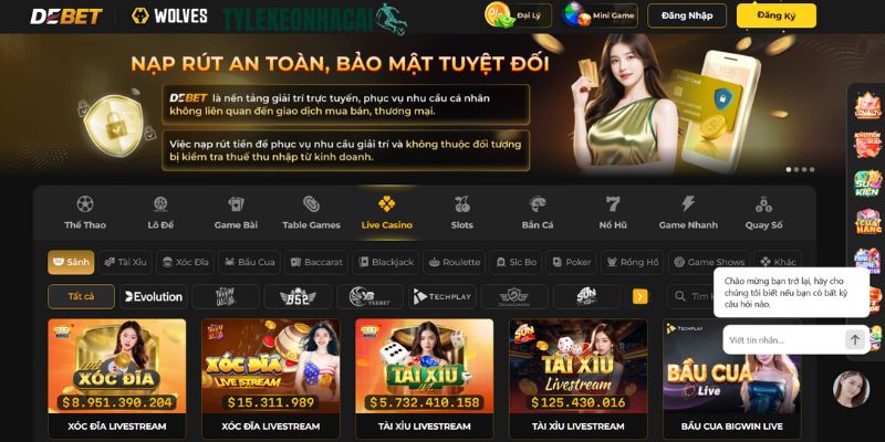 DEBET là một trong những nhà cái quen thuộc và nổi tiếng trên thị trường cá cược